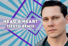 head & heart tiesto remix edm lab