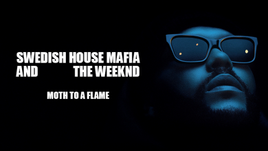 Moth to a flame