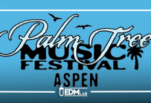 palm tree music festival