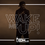 avicii wake me up